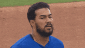 Blue Jays Smh GIF by Toronto Blue Jays