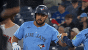 Blue Jays Celebration GIF by Toronto Blue Jays