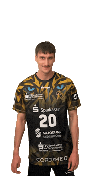 Bundesliga Handball Sticker by hcelbflorenz