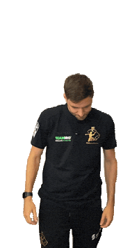 Bundesliga Handball Sticker by hcelbflorenz
