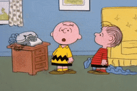charlie brown thanksgiving GIF by Peanuts