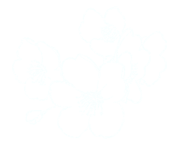 hs-movies flower japan sakura 白 Sticker