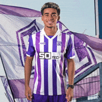 Tor Sieg GIF by VfLOsnabrueck