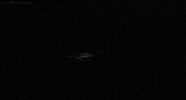 black and white GIF by Head Like an Orange