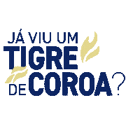 Skate Tiger Sticker by TigerBeerBR