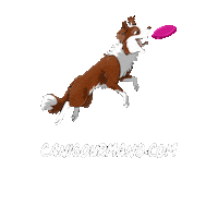 Dog Puppy Sticker by Cani-gourmand