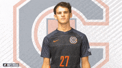Gabestevens GIF by Carson-Newman Athletics
