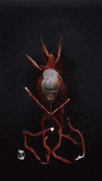 Illuminati Occult GIF by Komplex