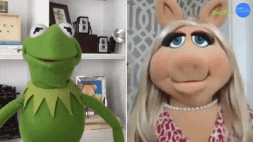 The Muppets Kermit GIF by BuzzFeed