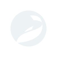 Fishing Carp Sticker by Outlaw Pro