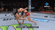 Fight Smash GIF by MolaTV