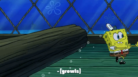 season 9 GIF by SpongeBob SquarePants