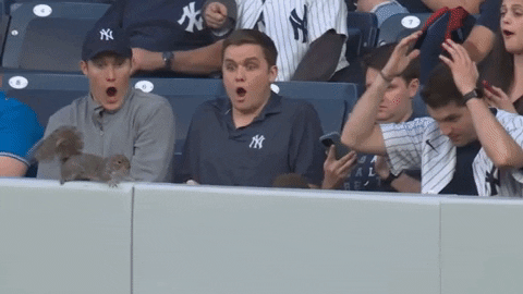 CMPL21 giphyupload GIF