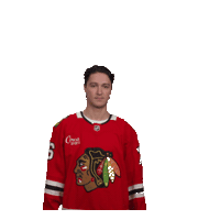 Celebration Sticker by NHLBlackhawks