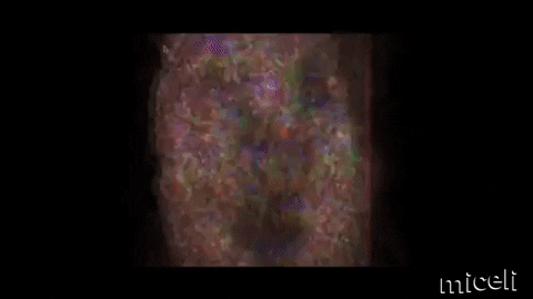 Contemporary Art Video GIF