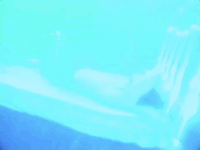 prince GIF