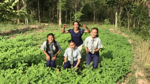 GIF by BlinkNow Foundation