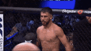 Mixed Martial Arts Sport GIF by UFC