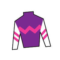 Horse Racing Sticker by Kentucky Derby