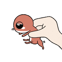 Lizard Reptile Sticker