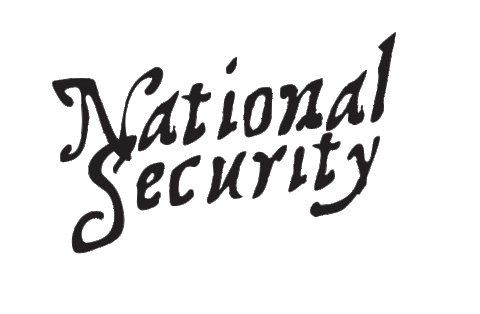 National Security Escape Sticker by Swell Spark