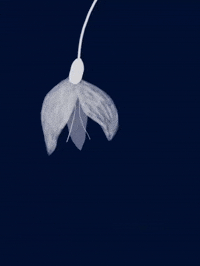 Sad Heart GIF by Barbara Pozzi