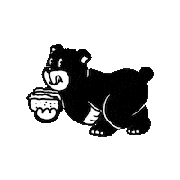 DOWNTOWNER sticker bear dt 곰 Sticker