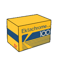 film kodak Sticker by Pellicola Magazine