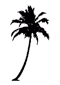 Palm Tree Beach Sticker by Jess Meilman