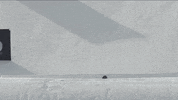 Flip Snowboarding GIF by X Games 