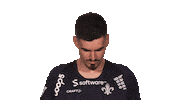 Darmstadt Sticker by Bundesliga