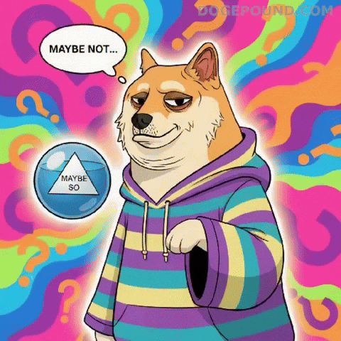 Question Mark Idk GIF by Doge Pound