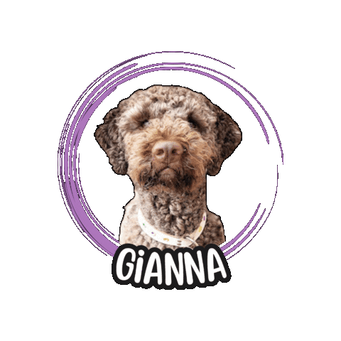 Lagotto Sticker by Asilo per cani Dog'sMind