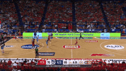 GIF by NBL