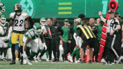Ny Jets Football GIF by New York Jets