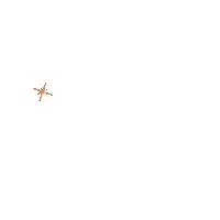 Live Your Dream Sticker by LIV Real Estate Group