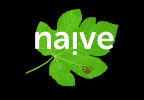 thenaivecompany naive thenaivecompany naivecoffee GIF
