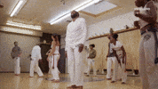 Jasper Dolphin Fitness GIF by JASPER & ERROL'S FIRST TIME