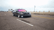 New Orleans Art GIF by Curated Stance!