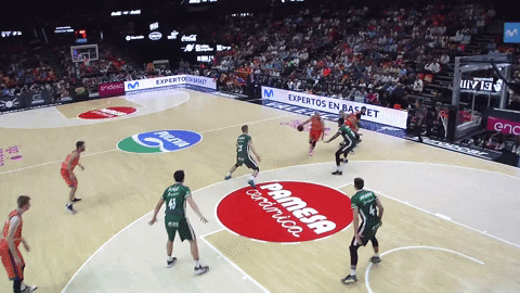Liga Endesa Basketball GIF by ACB