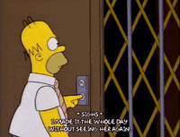 homer simpson episode 3 GIF