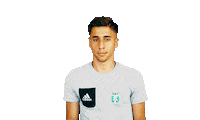 football facepalm Sticker by 1. fotbalová liga