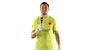 Football Sport Sticker by SK Slavia Praha