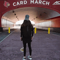 University Of Louisville Sport GIF by Louisville Cardinals