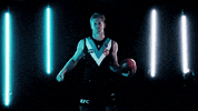 Aussie Rules Afl GIF by Port Adelaide FC