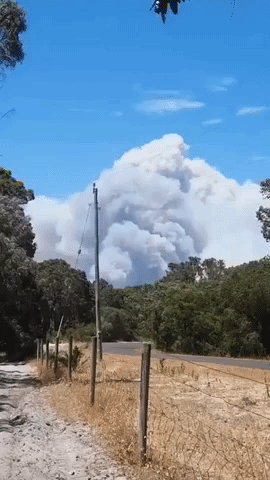 Fast-Moving Bushfires Threaten Properties in Western Australia