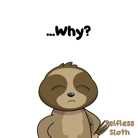 Sloth GIF by VeeFriends