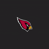 Red Sea Touchdown GIF by Arizona Cardinals