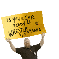 MeinekeCarCare car wwe wrestling wrestlemania Sticker