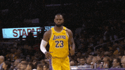 Assist Los Angeles GIF by NBA